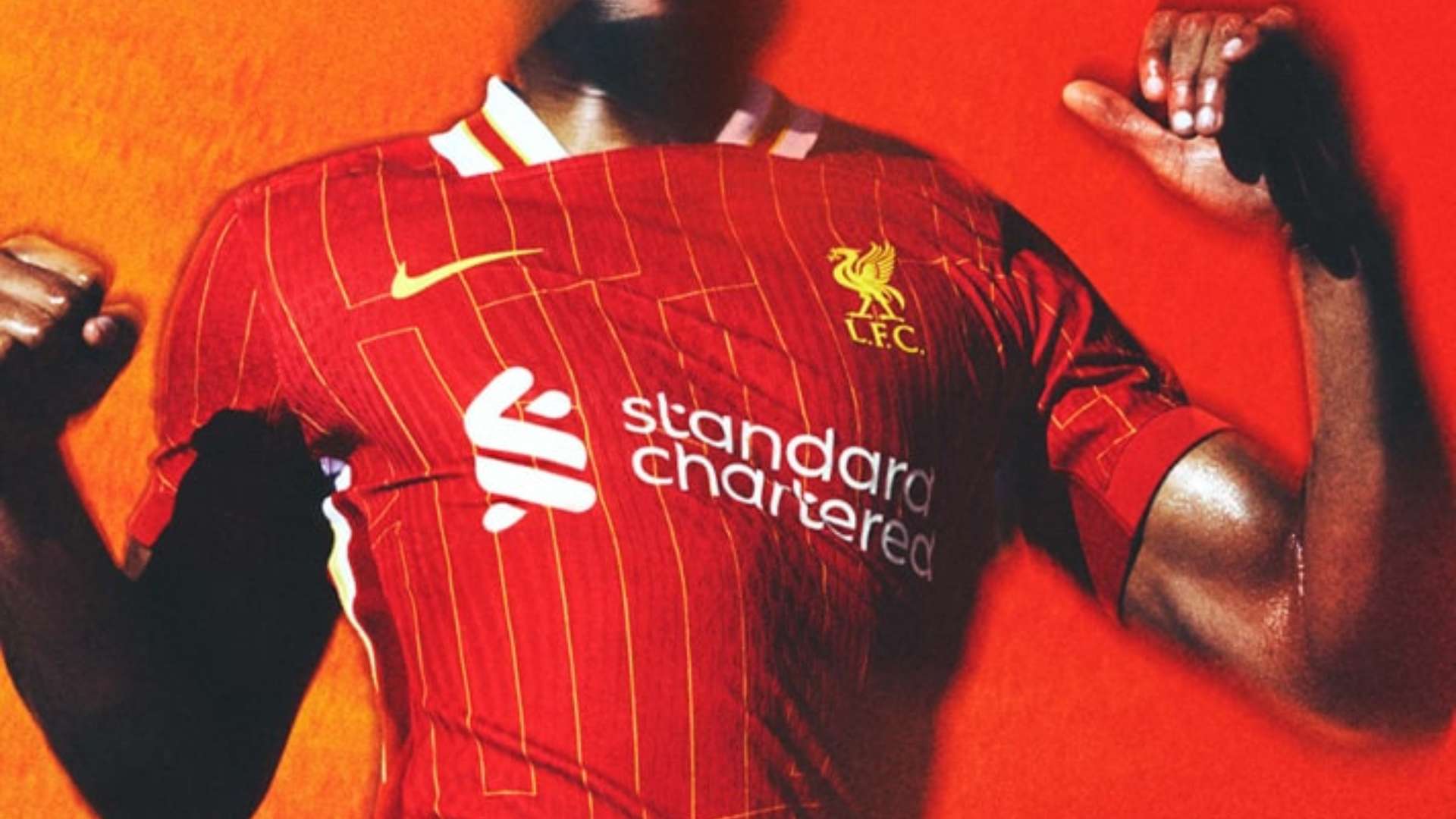 笘薰的职业 笘薰的职业