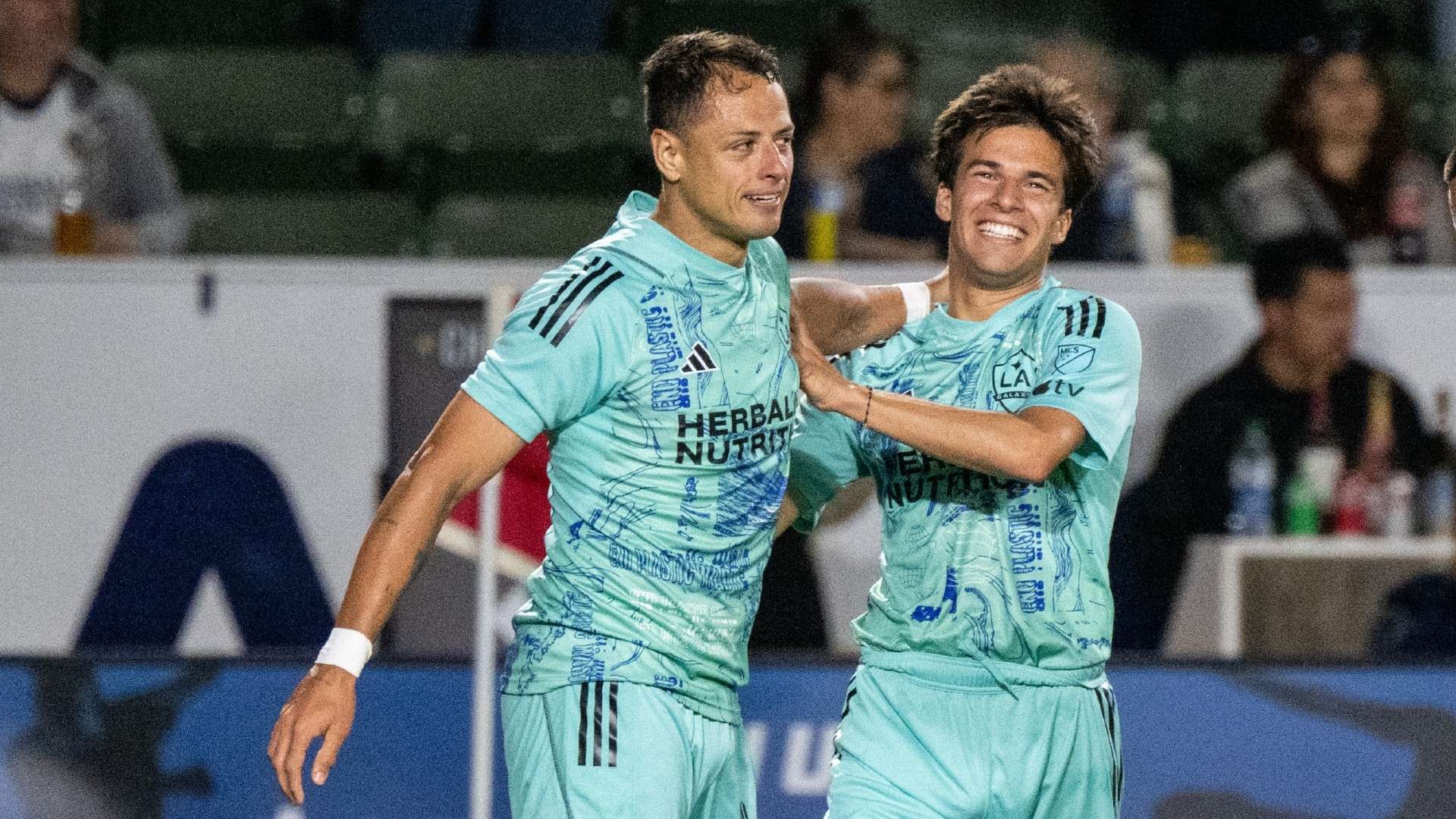 质层面上的 质层面上的