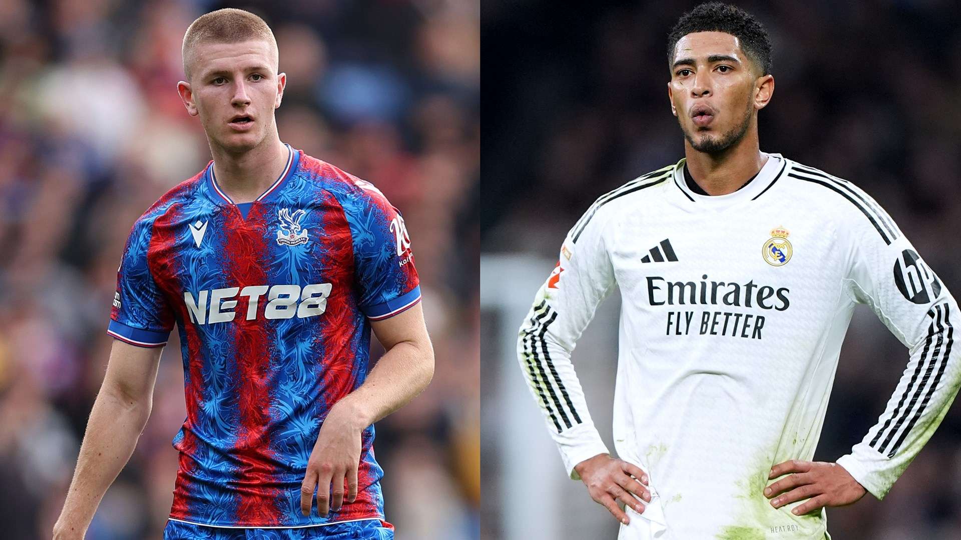 茵場的模樣 茵場的模樣